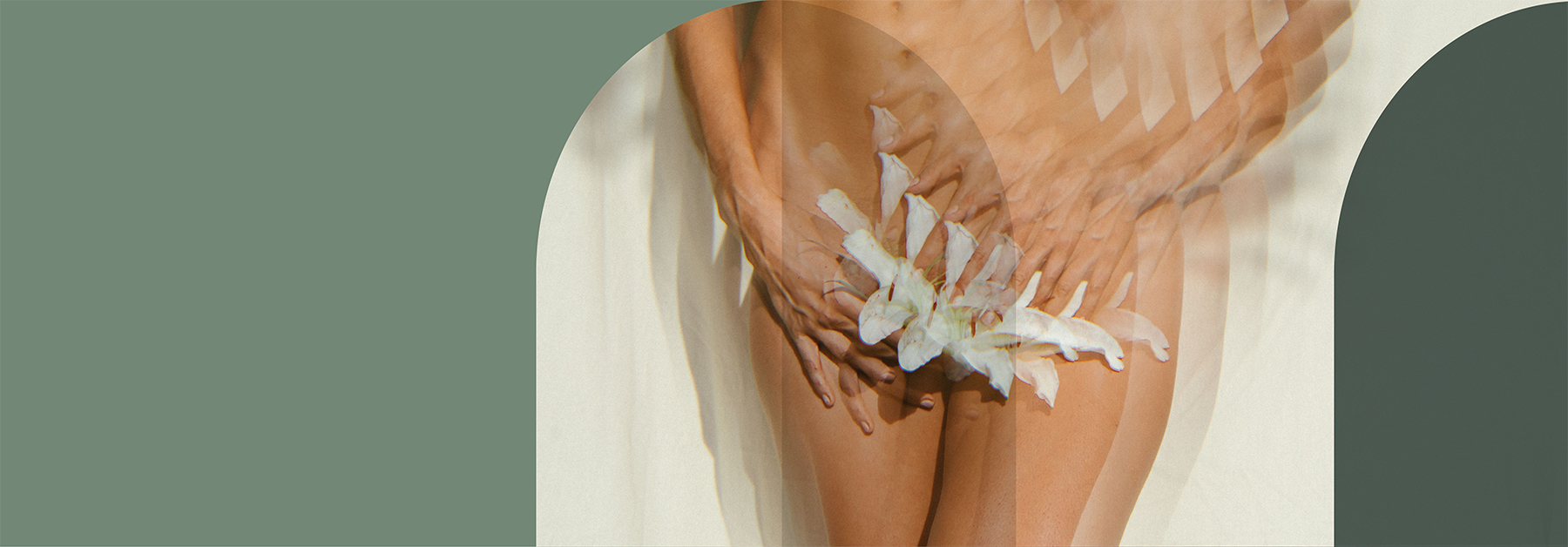 labiaplasty_banner