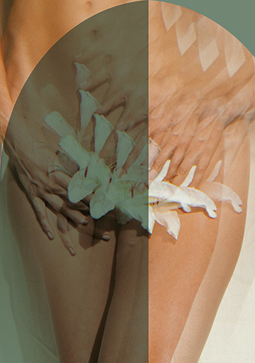 labiaplasty_mobile_banner